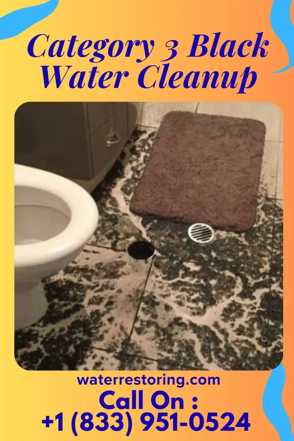 Category 3 Black Water Cleanup in Beckley, WV
