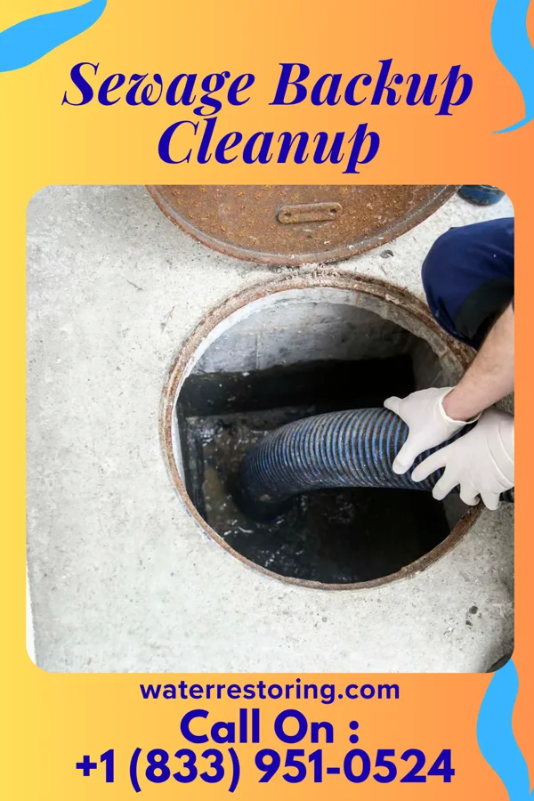 Sewage Backup Cleanup in Beckley, WV