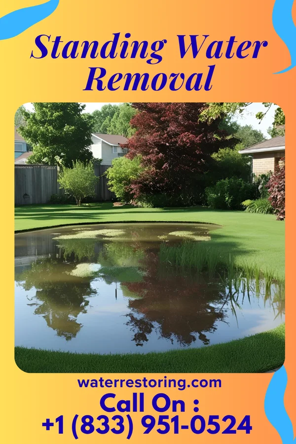 Standing Water Removal in Beckley, WV